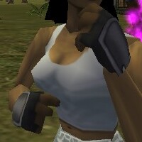 File:Reinforced Shou-jen Shozoku Gauntlets Live.jpg