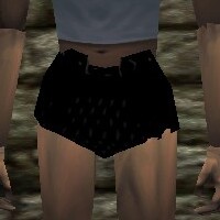 File:Scalemail Girth Live.jpg