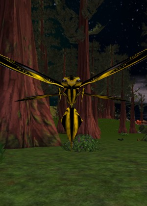 File:Woodland Phyntos Wasp Live.jpg