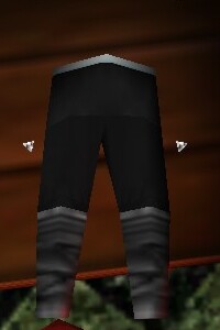 File:Reinforced Shou-jen Shozoku Trousers 2 Live.jpg