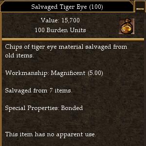 File:Salvaged Tiger Eye.jpg