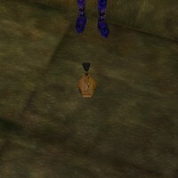 File:Infused Blood Golem Heart Live.jpg