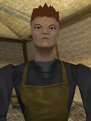 File:Nu'nifiba the Shopkeeper Live.jpg
