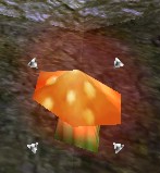 File:Red Burning Mushroom Live.jpg