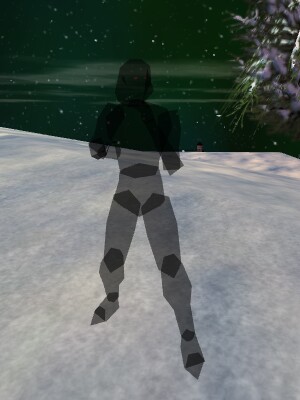 File:Shadow Lieutenant Live.jpg