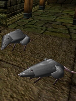 File:Giant White Rat Live.jpg