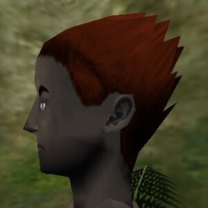 File:Haircut Dark 24 Texture Live.jpg