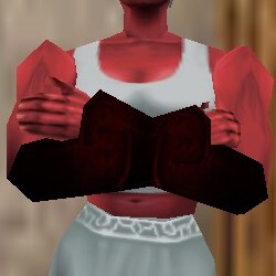 File:Seasoned Explorer Vambraces Hennacin Live.jpg