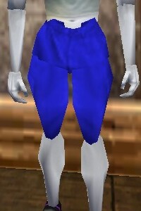 File:Aphus Wading Pants Colban Live.jpg