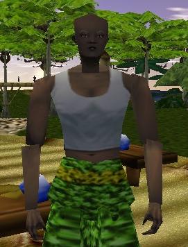 File:Jeweler (Oolutanga's Refuge) Live.jpg