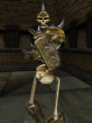 File:Armored Skeleton Lord Live.jpg