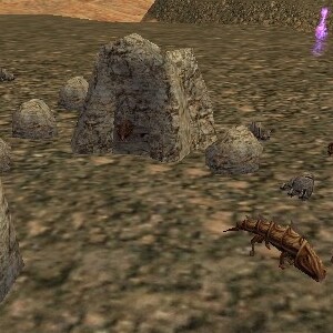 File:11.0N 21.1E - Armoredillo Cave Live.jpg