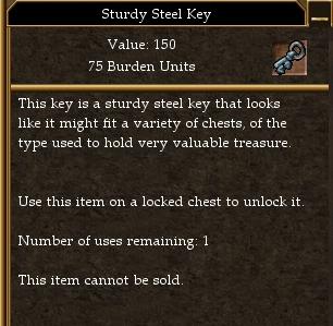 File:Sturdy Steel Key.jpg