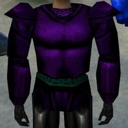 File:Platemail Hauberk (Retired) 2 Live.jpg