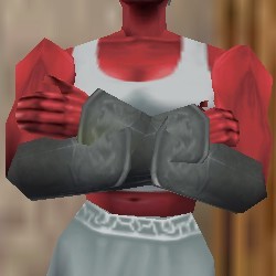 File:Seasoned Explorer Vambraces Argenory Live.jpg