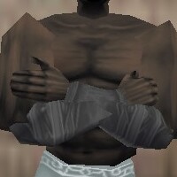 File:Armoredillo Hide Bracers Argenory Live.jpg