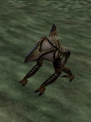 File:Reedshark Elder Live.jpg