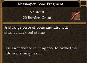 File:Misshapen Bone Fragment.jpg