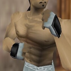 File:O-Yoroi Gauntlets Live.jpg