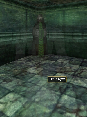 File:Timid Spirit Live.jpg
