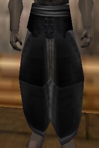 File:Heavy Gromnie Hide Leggings Thananim Live.jpg