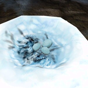 File:Penguin Nest Live.jpg