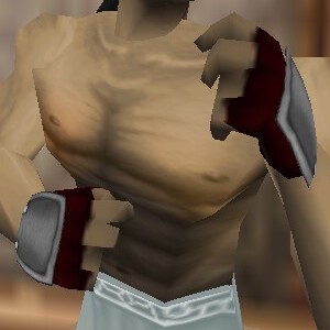 File:Reinforced Shou-jen Shozoku Gauntlets Hennacin Live.jpg