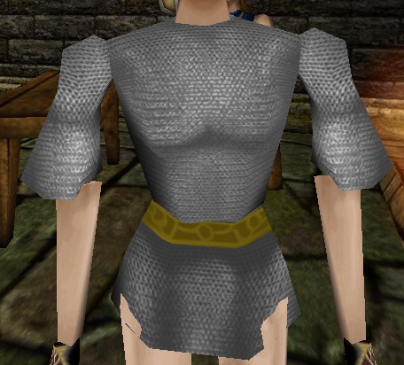 File:Chainmail Shirt Live.jpg