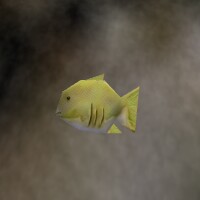 File:Guppy Live.jpg