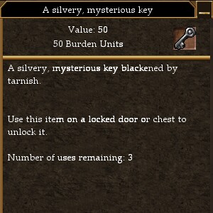 File:A silvery, mysterious key.jpg