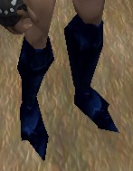 File:Boots (Store) Arwic Blue Live.jpg
