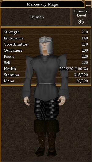 File:Mercenary Mage.jpg