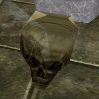 File:Runic Skull Live.jpg