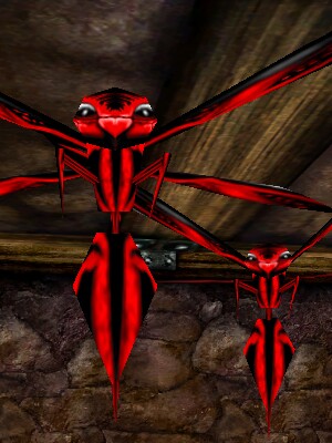 File:Agitated Phyntos Wasp Live.jpg