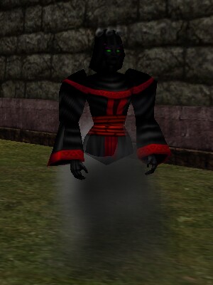 File:Professor of Void Magic Live.jpg