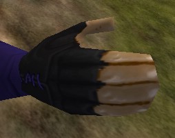 File:Shou-jen Sleeve Gauntlets Live.jpg