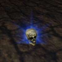 File:Skull of Avoren Palacost Live.jpg