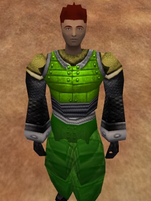 File:Amuli Armor of Acid Live.jpg