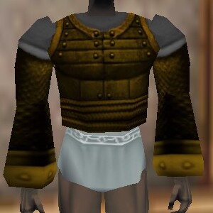 File:Amuli Coat (The Crafter) Berimphur Live.jpg