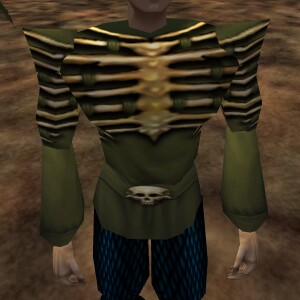 File:Hea Bone and Hide Shirt Live.jpg