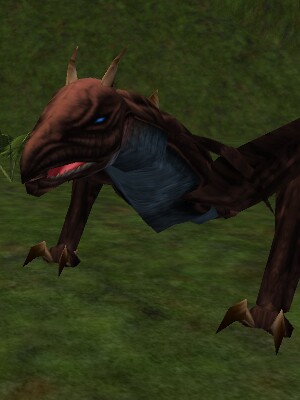 File:Adolescent Rust Gromnie Live.jpg