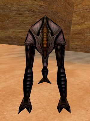 File:Reedshark Seeker Live.jpg