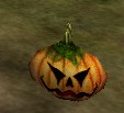 File:Pumpkin Head Live.jpg