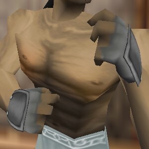 File:Reinforced Shou-jen Shozoku Gauntlets Argenory Live.jpg