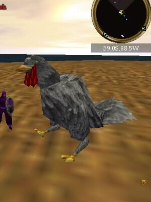 File:Gobbles Live.jpg