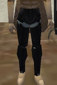 File:Noble Leggings Thananim Live.jpg