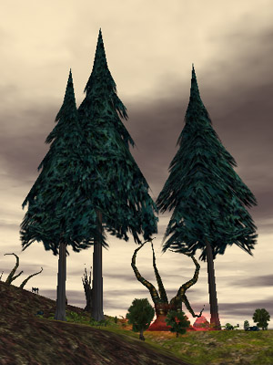 File:Tall Tree Live.jpg