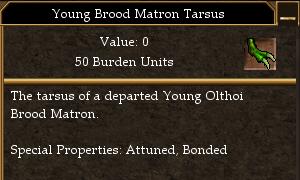 File:Young Brood Matron Tarsus.jpg