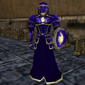 File:Celestial Hand Robe (Armor) Live.jpg