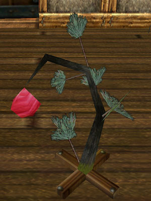 File:Pitiful Pine Tree Live.jpg